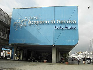 Aquarium of Genoa