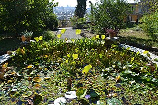 Orto Botanico dell'Università degli Studi di Genova