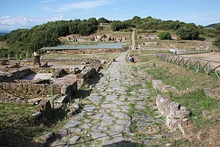 Basilica dei Bassi