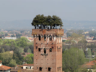 Torre Guinigi