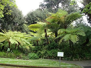 Botanical Garden of Naples