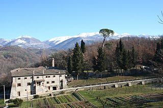 Santuario di Santa Maria della Foresta