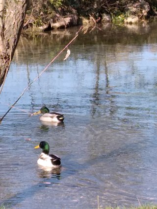 Parco dello Storga