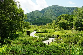 Botanical Gardens of Wetlands