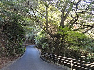 Miyajima Natural Botanical Garden