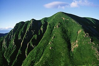 Mt. Usagi