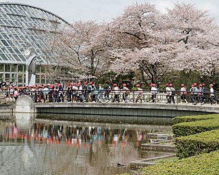 Kyoto Botanical Garden