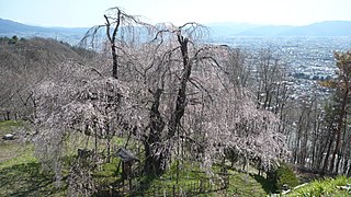 アルプス公園