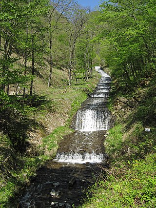 フランス式階段流路