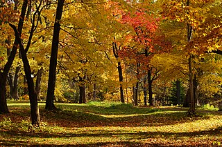 Botanical Garden of Hokkaido University