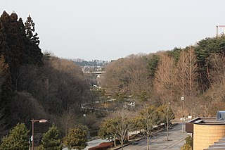 Dainohara Forest Park