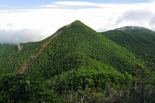 Mt. Kobushigatake