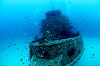 Wreck of Rozi tug