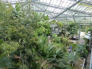 Hortus Botanicus