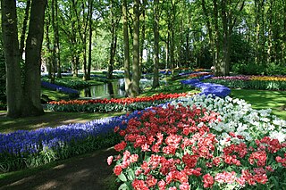 Keukenhof