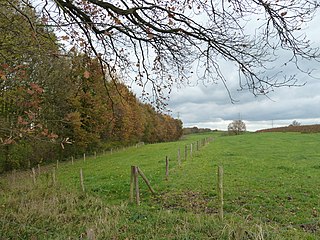 Romeinse villa Groot Haasdal-Billich