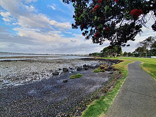 Kiwi Esplanade