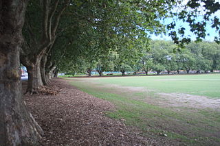 Victoria Park