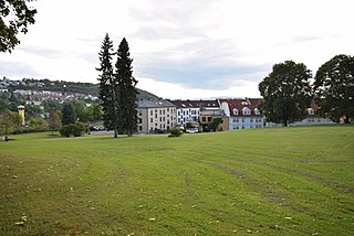 Vålerenga park