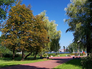 Park im. Tadeusza Kościuszki