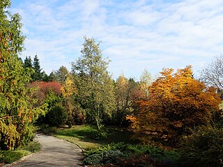 Ogród Botaniczny UMCS