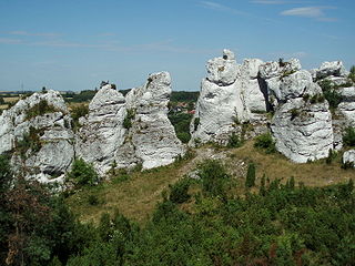 Jaskinia Towarna (Niedźwiedzia)