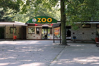 New Zoo