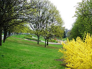 Park Jurija Gagarina