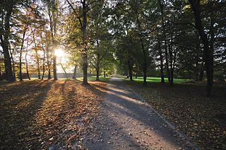 Park na Niskich Łąkach