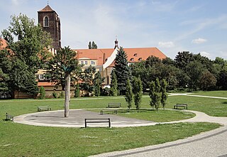 Żywy pomnik Arena