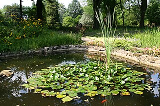 Miejski Ogród Botaniczny