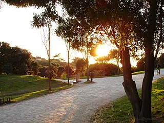 Parque da Cidade