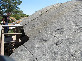 Monumento Natural da Pedreira do Avelino