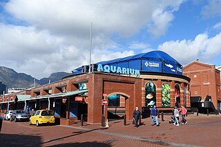 Two Oceans Aquarium