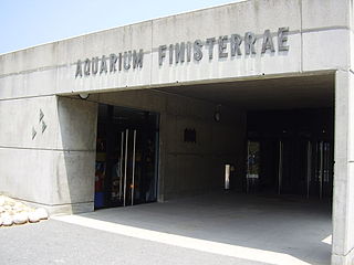 Aquarium Finisterrae - Fish House