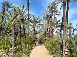 Parc el Palmeral / Parque el Palmeral