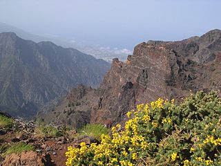 Roque de los Muchachos