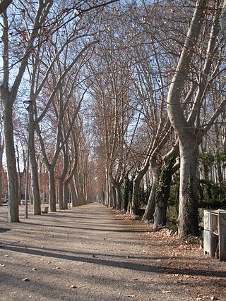 parc la devesa