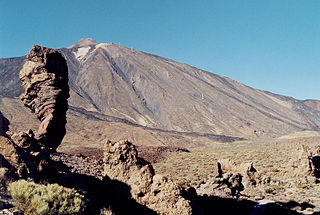 Roque Cinchado