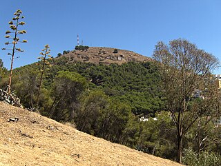 Parque Forestal Monte Victoria