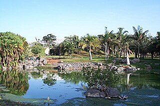 Palmetum of Santa Cruz de Tenerife