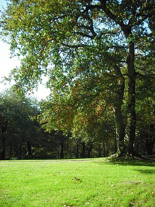 Parque de San Domingos de Bonaval