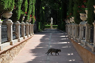 Jardí de Monforte