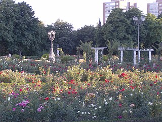 Rosaleda Francisco Sabadell