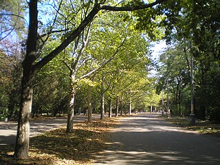 Taras Shevchenko Park