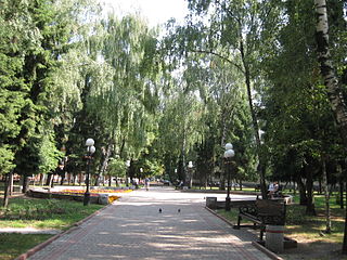 The Birch square