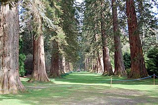 Benmore Botanic Garden