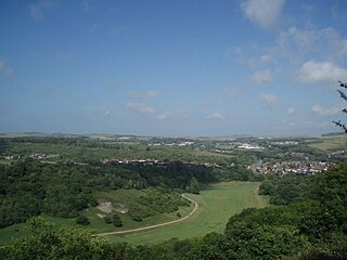 Moulsecoomb Wild Park