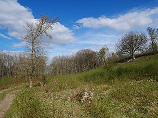 Bigbury Camp