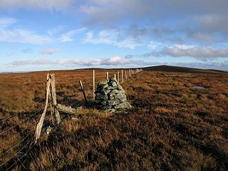 Waun Garnedd-y-filiast